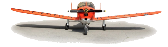 Alon A-2 - The Twin Tailed Tiger